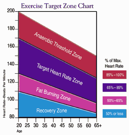 Does The Fat Burning Zone Work