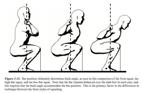 squat-variants.jpg