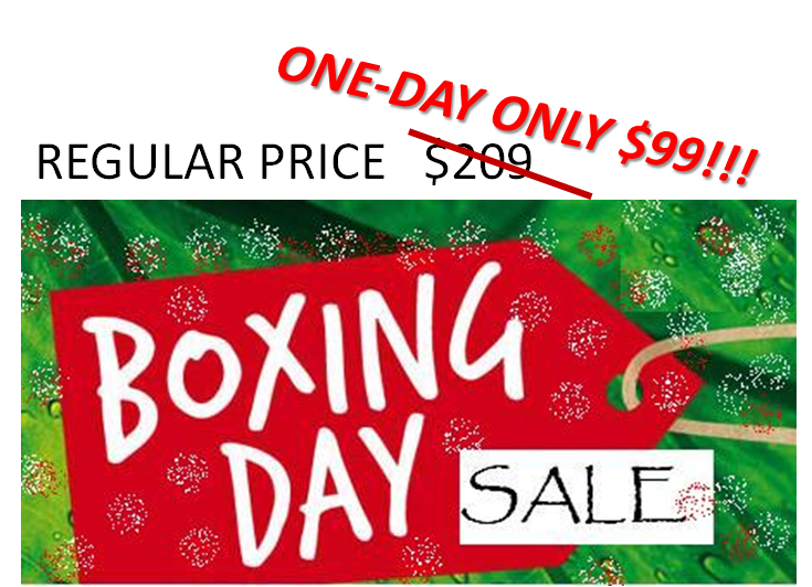 boxing day sale trainers