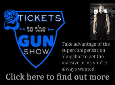 gun show 2