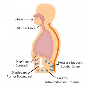 Hypopresive Breathing Fundamentals Review - DeanSomerset.com