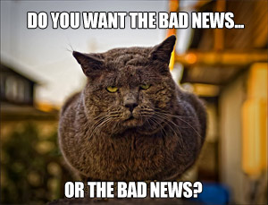 bad-news-cat