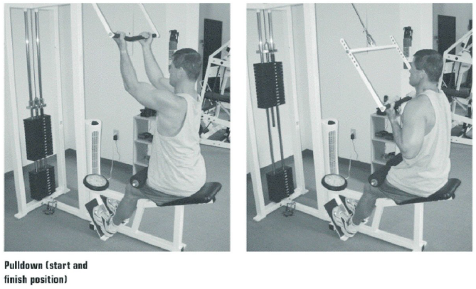 Lat-Pull-Down-The-Big-5-Workout