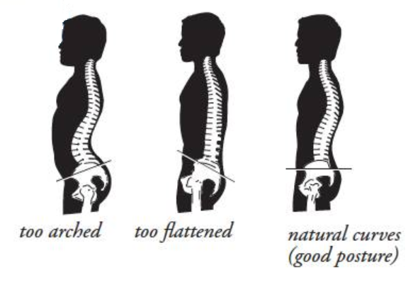 neutral-spine