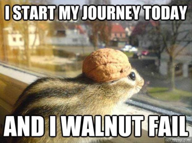 i-start-my-journey-today-and-i-walnut-fail-funny-animal-squirrel-meme-picture